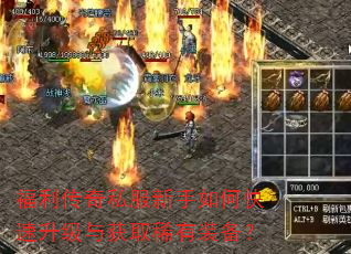 福利传奇私服新手如何快速升级与获取稀有装备? 福利传奇私服新手如何快速升级与获取稀有装备?