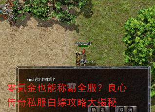 零氪金也能称霸全服?良心传奇私服白嫖攻略大揭秘 零氪金也能称霸全服?良心传奇私服白嫖攻略大揭秘