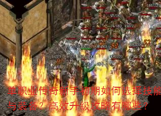 单职业传奇新手初期如何选择技能与装备?高效升级攻略有哪些? 单职业传奇新手初期如何选择技能与装备?高效升级攻略有哪些?