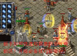 新手如何快速称霸单职业传奇新区?开服必备技巧有哪些? 新手如何快速称霸单职业传奇新区?开服必备技巧有哪些?