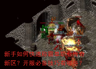 新手如何快速称霸单职业传奇新区?开服必备技巧有哪些? 新手如何快速称霸单职业传奇新区?开服必备技巧有哪些?
