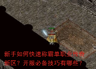 新手如何快速称霸单职业传奇新区?开服必备技巧有哪些? 新手如何快速称霸单职业传奇新区?开服必备技巧有哪些?