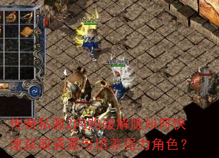 传奇私服2内购破解版如何快速获取资源与培养强力角色? 传奇私服2内购破解版如何快速获取资源与培养强力角色?