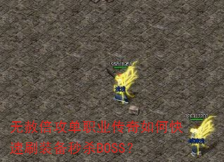 无赦倍攻单职业传奇如何快速刷装备秒杀BOSS? 无赦倍攻单职业传奇如何快速刷装备秒杀BOSS?