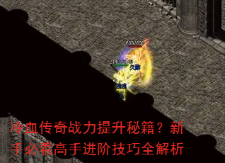 冷血传奇战力提升秘籍?新手必看高手进阶技巧全解析 冷血传奇战力提升秘籍?新手必看高手进阶技巧全解析