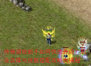 传奇游戏新手如何快速升级?职业选择与技能搭配攻略大揭秘 传奇游戏新手如何快速升级?职业选择与技能搭配攻略大揭秘