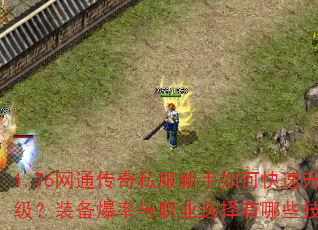 1.76网通传奇私服新手如何快速升级?装备爆率与职业选择有哪些技巧? 1.76网通传奇私服新手如何快速升级?装备爆率与职业选择有哪些技巧?