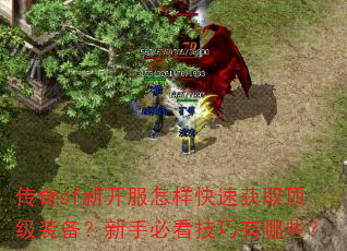 传奇sf新开服怎样快速获取顶级装备?新手必看技巧有哪些? 传奇sf新开服怎样快速获取顶级装备?新手必看技巧有哪些?