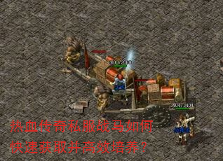 热血传奇私服战马如何快速获取并高效培养? 热血传奇私服战马如何快速获取并高效培养?