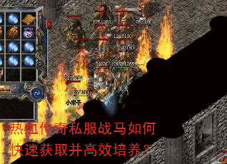 热血传奇私服战马如何快速获取并高效培养? 热血传奇私服战马如何快速获取并高效培养?