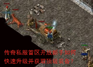 传奇私服首区开放新手如何快速升级并获取顶级装备? 传奇私服首区开放新手如何快速升级并获取顶级装备?