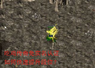 吃鸡传奇免实名认证如何快速提升段位? 吃鸡传奇免实名认证如何快速提升段位?