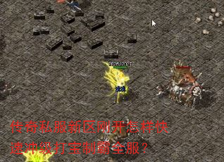 传奇私服新区刚开怎样快速冲级打宝制霸全服? 传奇私服新区刚开怎样快速冲级打宝制霸全服?