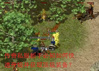 传奇私服新手必知如何快速升级并获取顶级装备? 传奇私服新手必知如何快速升级并获取顶级装备?