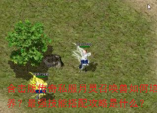 合击版传奇私服月灵召唤兽如何培养?最强技能搭配攻略是什么? 合击版传奇私服月灵召唤兽如何培养?最强技能搭配攻略是什么?