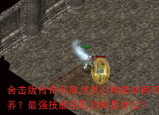 合击版传奇私服月灵召唤兽如何培养?最强技能搭配攻略是什么? 合击版传奇私服月灵召唤兽如何培养?最强技能搭配攻略是什么?