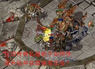 怀旧传奇私服新手如何快速升级并获取稀有装备? 怀旧传奇私服新手如何快速升级并获取稀有装备?