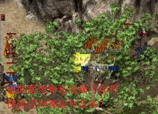 电脑版传奇私服新手如何快速提升等级与装备? 电脑版传奇私服新手如何快速提升等级与装备?