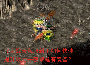 飞龙战天私服新手如何快速提升战力并获取稀有装备? 飞龙战天私服新手如何快速提升战力并获取稀有装备?