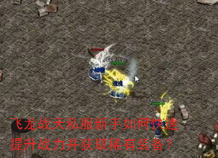 飞龙战天私服新手如何快速提升战力并获取稀有装备? 飞龙战天私服新手如何快速提升战力并获取稀有装备?