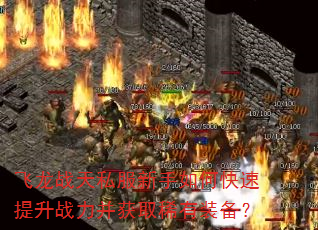 飞龙战天私服新手如何快速提升战力并获取稀有装备? 飞龙战天私服新手如何快速提升战力并获取稀有装备?