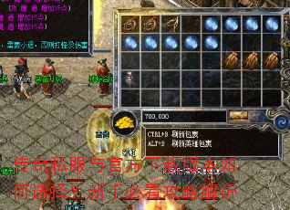 传奇私服与官方下载版本如何选择?新手必看攻略解析 传奇私服与官方下载版本如何选择?新手必看攻略解析