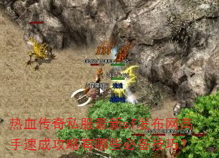 热血传奇私服最新sf发布网高手速成攻略有哪些必备技巧? 热血传奇私服最新sf发布网高手速成攻略有哪些必备技巧?