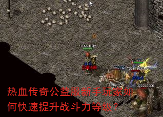 热血传奇公益服<a href=