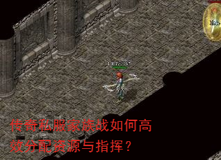 传奇私服家族战如何高效分配资源与指挥? 传奇私服家族战如何高效分配资源与指挥?