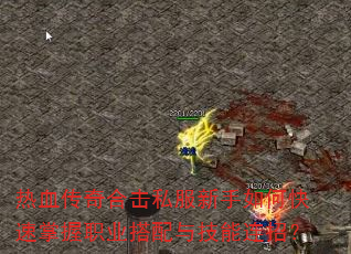 热血传奇合击私服新手如何快速掌握职业搭配与技能连招? 热血传奇合击私服新手如何快速掌握职业搭配与技能连招?