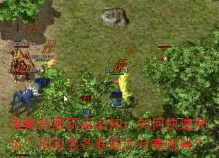 传奇私服玩家必知:如何快速升级?顶级装备获取途径有哪些? 传奇私服玩家必知:如何快速升级?顶级装备获取途径有哪些?