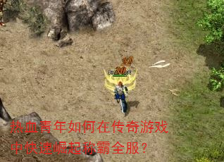 热血青年如何在传奇游戏中快速崛起称霸全服? 热血青年如何在传奇游戏中快速崛起称霸全服?