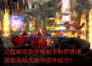 公益服变态传奇新手如何快速获取顶级装备与提升战力? 公益服变态传奇新手如何快速获取顶级装备与提升战力?